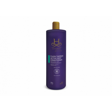 Hydra Flash Thermo aktívny hĺbkový kondicionér 900ml